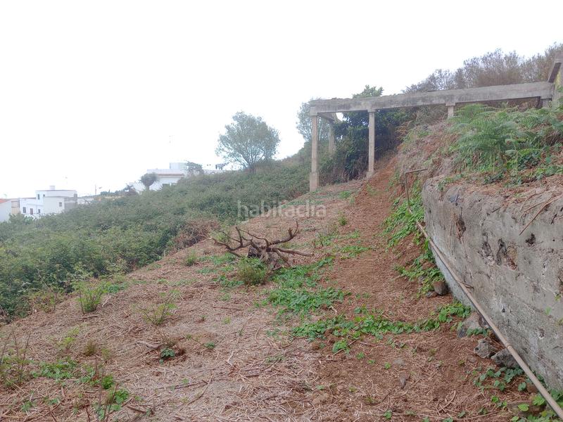 Foto 211d82e9-0fd5-40dc-8b40-9aab3b093bef. Rural plot in calle los berros 1 in Los Realejos pueblo Realejos (Los)