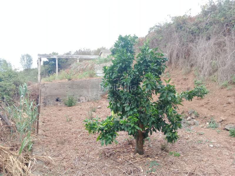 Foto 37aec042-bf9a-41d2-b527-a6be2dc084e6. Rural plot in calle los berros 1 in Los Realejos pueblo Realejos (Los)