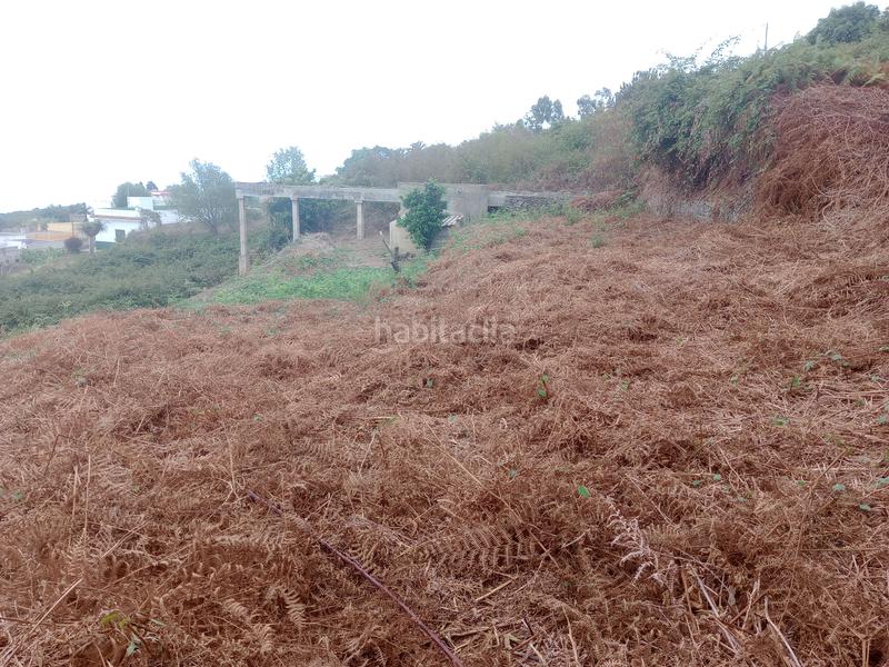 Foto 3a9d5d29-3056-44dd-b3d1-2fee1db8b937. Rural plot in calle los berros 1 in Los Realejos pueblo Realejos (Los)