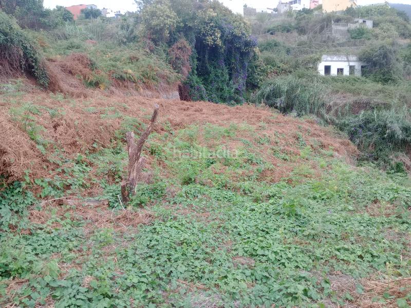 Foto 48835f46-2ac4-4981-96cf-0f29d6241caa. Rural plot in calle los berros 1 in Los Realejos pueblo Realejos (Los)