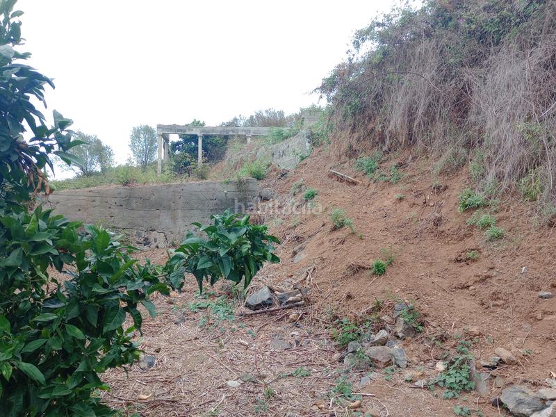 Foto 54a44084-1393-49fd-93d1-24c6c47b60e9. Rural plot in calle los berros 1 in Los Realejos pueblo Realejos (Los)