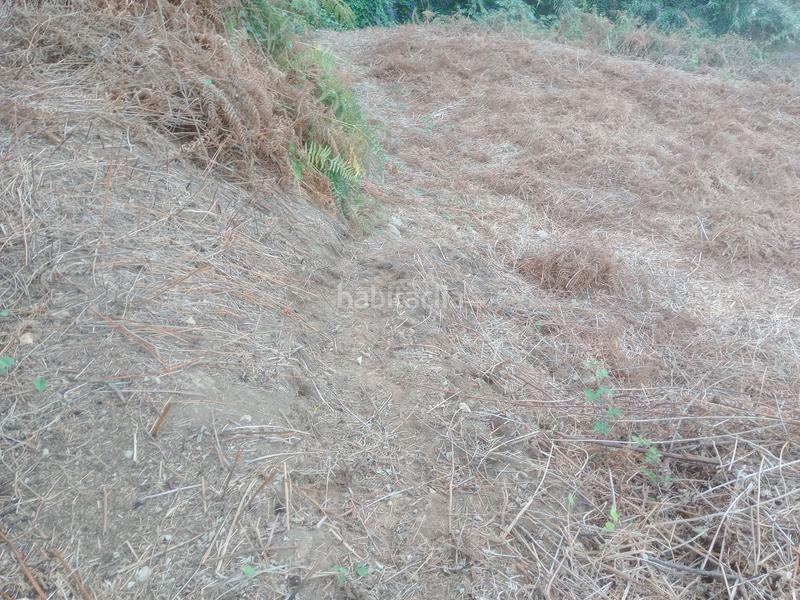 Foto 5ed0e0ac-5b36-4b73-be8c-0d14a32d081f. Rural plot in calle los berros 1 in Los Realejos pueblo Realejos (Los)