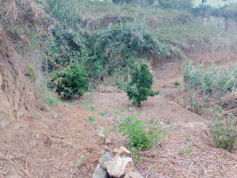 Foto 63c47aa2-fd8c-43d8-985b-d6ad96012e07. Rural plot in calle los berros 1 in Los Realejos pueblo Realejos (Los)