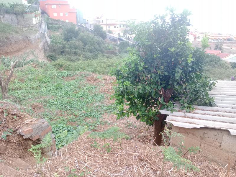 Foto 64be4b06-802a-4876-9c15-5cea3feb75c9. Rural plot in calle los berros 1 in Los Realejos pueblo Realejos (Los)