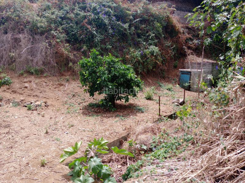 Foto 6e108c2a-427c-4225-817d-b6a8c0709ff0. Rural plot in calle los berros 1 in Los Realejos pueblo Realejos (Los)