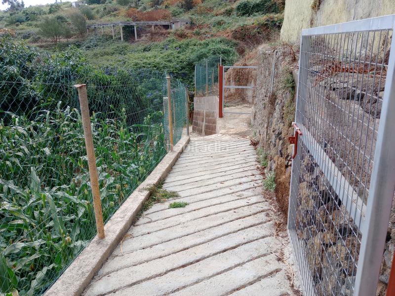 Foto 721de7fe-7eb0-4ba8-86e8-2d1a677f4b14. Rural plot in calle los berros 1 in Los Realejos pueblo Realejos (Los)