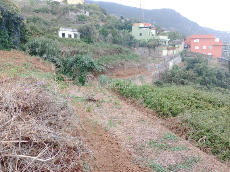 Foto 75cc335a-73c5-43f3-8baa-706ada74977a. Rural plot in calle los berros 1 in Los Realejos pueblo Realejos (Los)