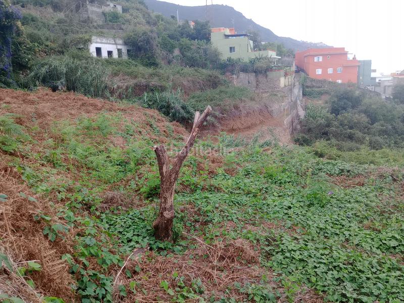 Foto 7c1b5436-ce5d-45f4-80f1-fee0633e0642. Rural plot in calle los berros 1 in Los Realejos pueblo Realejos (Los)