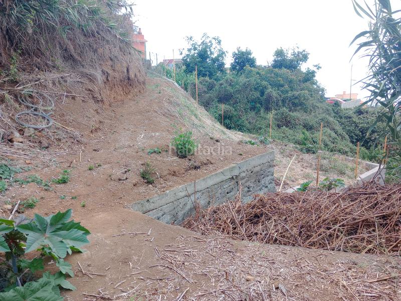 Foto 88d3da35-5258-45f8-900e-a526b57664f0. Rural plot in calle los berros 1 in Los Realejos pueblo Realejos (Los)