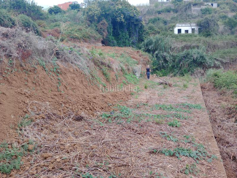 Foto a4734c9e-3646-4abb-8519-db2baad79c02. Rural plot in calle los berros 1 in Los Realejos pueblo Realejos (Los)