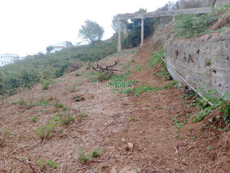 Foto add01217-b7af-4535-8854-d985ece9231f. Rural plot in calle los berros 1 in Los Realejos pueblo Realejos (Los)