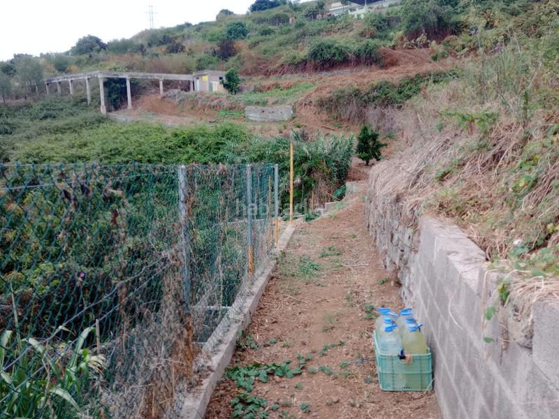 Foto be24a1cf-5691-4048-9b3b-4d8839091abb. Rural plot in calle los berros 1 in Los Realejos pueblo Realejos (Los)