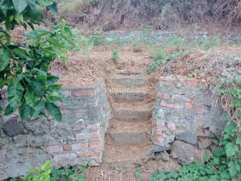 Foto c8ed4611-c622-4f7e-836a-48f0ae979b2c. Rural plot in calle los berros 1 in Los Realejos pueblo Realejos (Los)