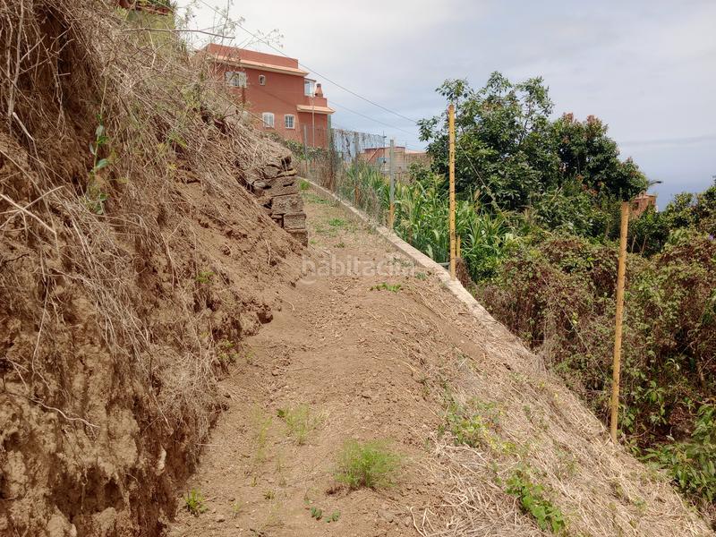 Foto c9b3586c-884e-49d6-98bf-ff1a8ca2f612. Rural plot in calle los berros 1 in Los Realejos pueblo Realejos (Los)