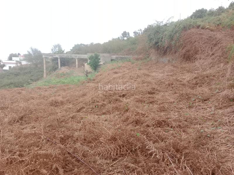 Foto cced6123-a657-4f1e-8f34-c5ca369eb26f. Rural plot in calle los berros 1 in Los Realejos pueblo Realejos (Los)