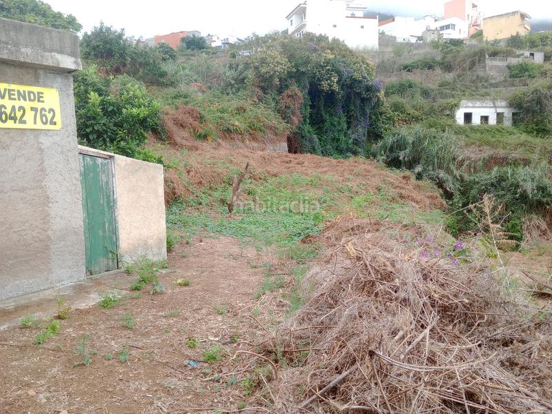 Foto d8cbfb32-8a1a-4d4b-9774-5d7b044e32b3. Rural plot in calle los berros 1 in Los Realejos pueblo Realejos (Los)