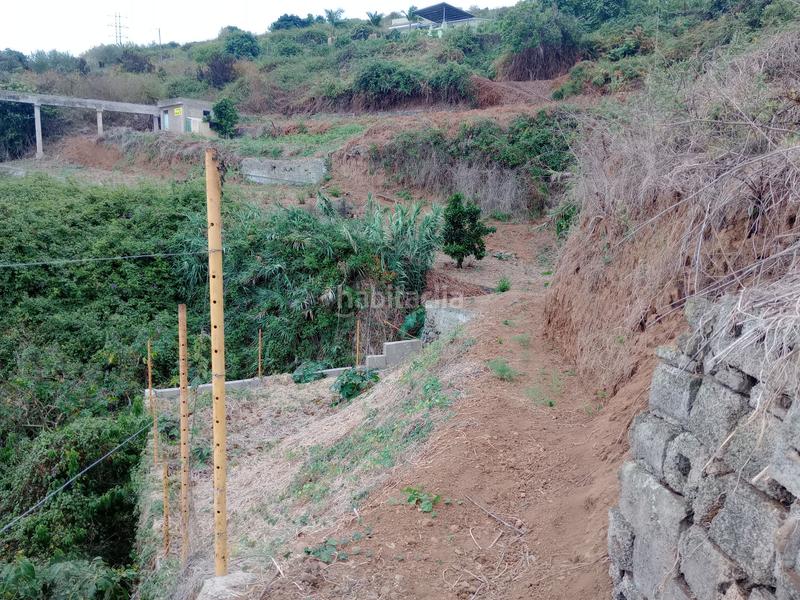 Foto e9ceac04-82cf-4575-aca2-c617ab786805. Rural plot in calle los berros 1 in Los Realejos pueblo Realejos (Los)