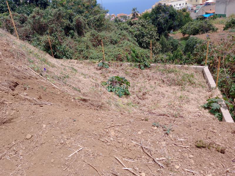 Foto ed1d580d-1787-48a5-be4b-9c0b300b333c. Rural plot in calle los berros 1 in Los Realejos pueblo Realejos (Los)