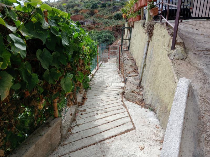 Foto f418d8be-8d11-41a9-ab29-46b6eded2b3d. Rural plot in calle los berros 1 in Los Realejos pueblo Realejos (Los)