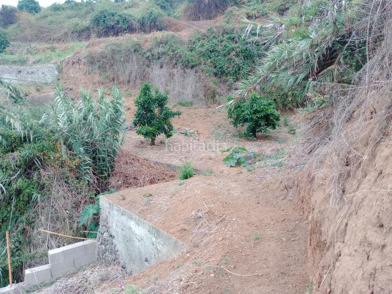 Foto f6c858b9-586f-48d2-b59e-e6691d34411d. Rural plot in calle los berros 1 in Los Realejos pueblo Realejos (Los)