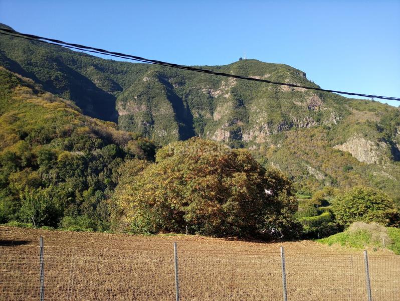 Foto 8515d9ee-2c83-47b7-a670-a69fef1816ac. Terreno residencial en vial camino 21 en Palo Blanco Realejos (Los)