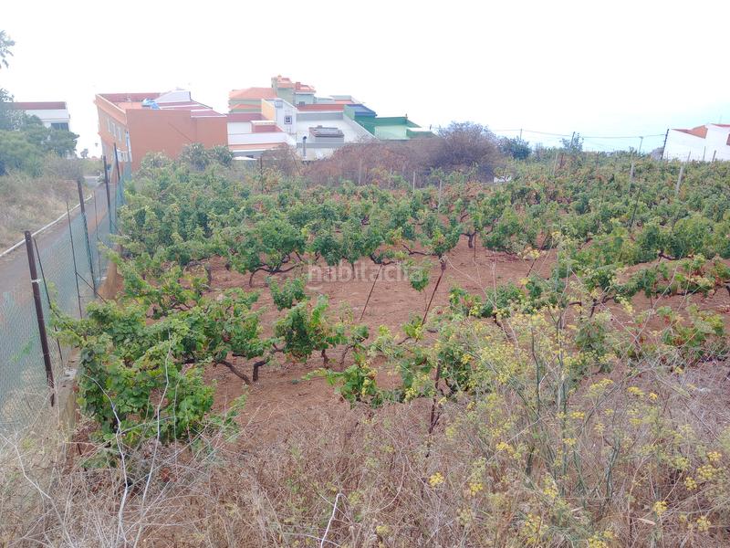 Foto 018334de-939e-45a2-9b6d-d115633afa97. Terrain résidentiel dans carretera rafael ramos 49 dans Sauzal (El)