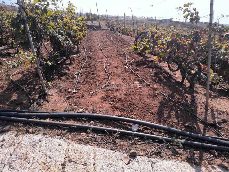 Foto 1f20cd05-9be5-4378-8ccb-e1ec41cc1793. Terrain résidentiel dans carretera rafael ramos 49 dans Sauzal (El)