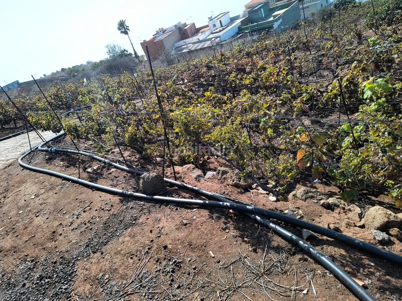 Foto 2da71e11-d505-470f-b5f6-4924b9de6878. Terrain résidentiel dans carretera rafael ramos 49 dans Sauzal (El)