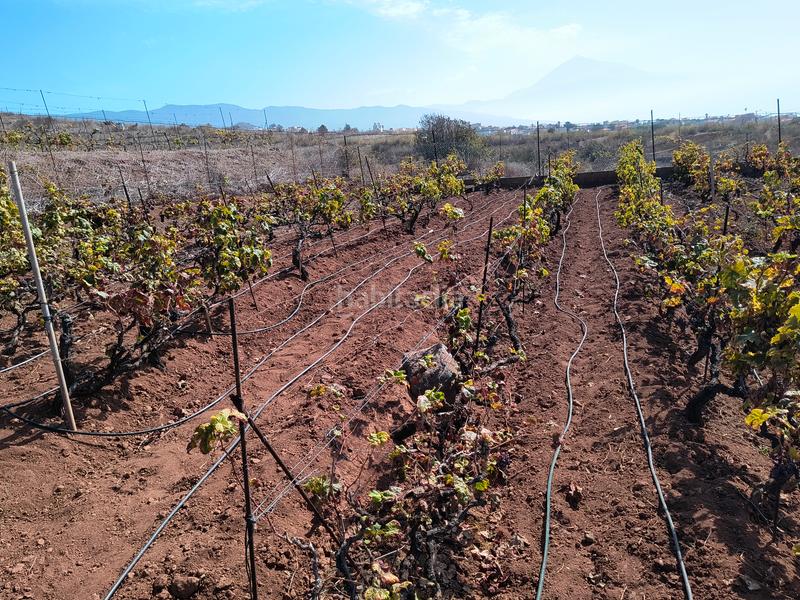 Foto 43e8ada6-85e7-482b-986e-1270a10b42d0. Terrain résidentiel dans carretera rafael ramos 49 dans Sauzal (El)