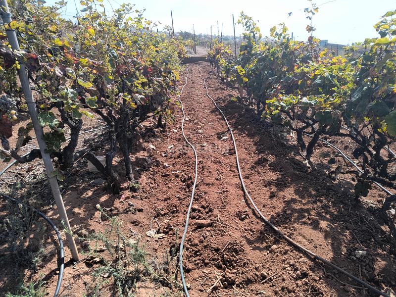 Foto a400779c-b99a-4aa0-853a-8320f1b87d14. Terrain résidentiel dans carretera rafael ramos 49 dans Sauzal (El)