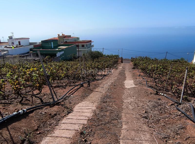 Foto a8b33328-2c23-4925-a3c5-b8d4bc6ceb98. Terrain résidentiel dans carretera rafael ramos 49 dans Sauzal (El)