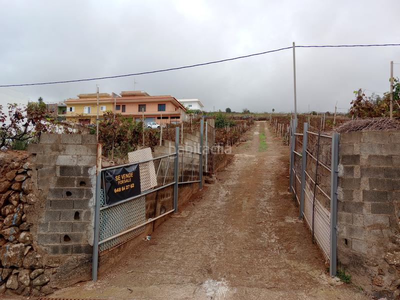 Foto a9a80618-1979-400e-9248-9a1587de7497. Terrain résidentiel dans carretera rafael ramos 49 dans Sauzal (El)