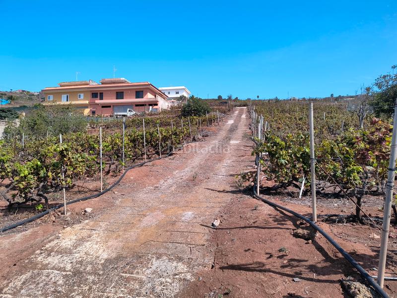 Foto d5e639d6-ee57-4a41-9713-9c8119f961f3. Terrain résidentiel dans carretera rafael ramos 49 dans Sauzal (El)