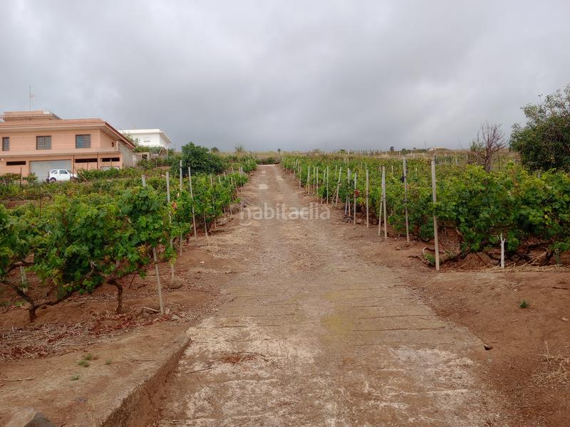 Foto e1276525-3822-4e34-8705-6047b785724c. Terrain résidentiel dans carretera rafael ramos 49 dans Sauzal (El)