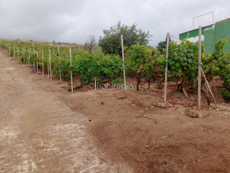 Foto e70ee649-182f-414b-9fe4-41294a4f4858. Terrain résidentiel dans carretera rafael ramos 49 dans Sauzal (El)