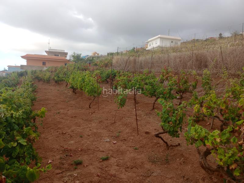 Foto 10f42c51-e0dc-4a7a-af72-a95c9b64af2e. Terreno residenziale in carretera rafael ramos 49 in Sauzal (El)