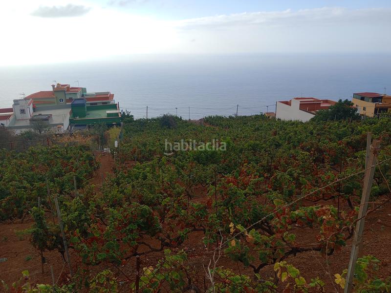 Foto 1eed97f4-c0a2-4cea-90c1-a5585081f421. Terreno residenziale in carretera rafael ramos 49 in Sauzal (El)