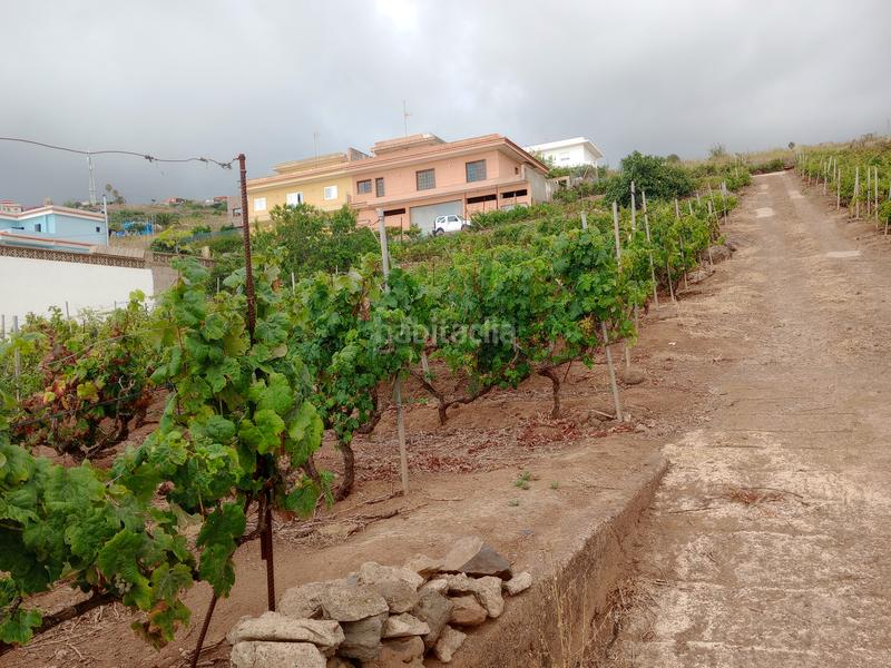 Foto 3d90ab46-5284-45a1-b1ca-4537f0f4e072. Terreno residenziale in carretera rafael ramos 49 in Sauzal (El)