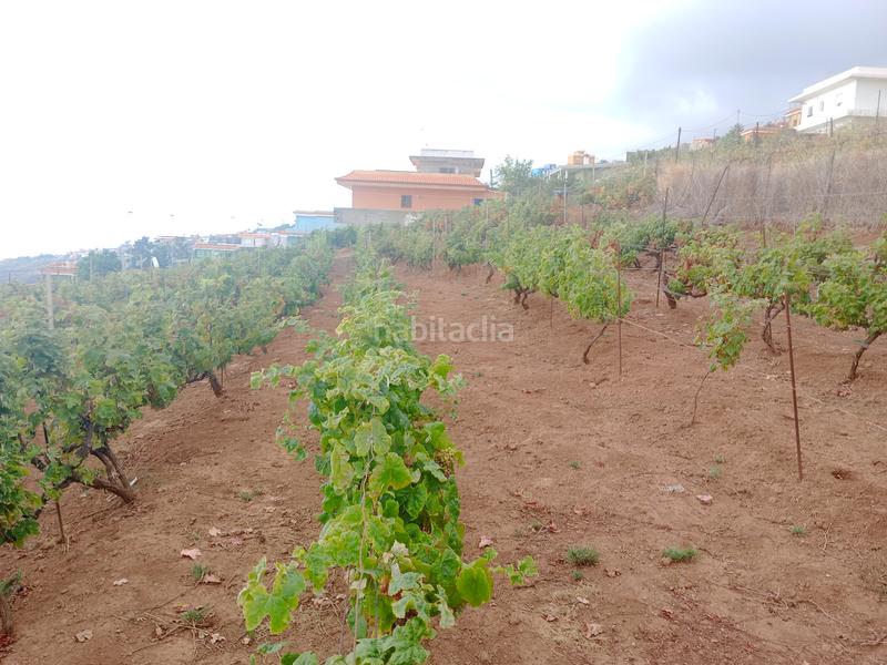 Foto 468c1d37-9813-430d-a2cb-fa356973fac5. Terreno residenziale in carretera rafael ramos 49 in Sauzal (El)