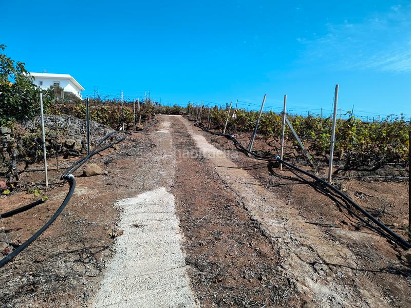 Foto 49942c7a-8288-43d6-89c3-40749f765112. Terreno residenziale in carretera rafael ramos 49 in Sauzal (El)