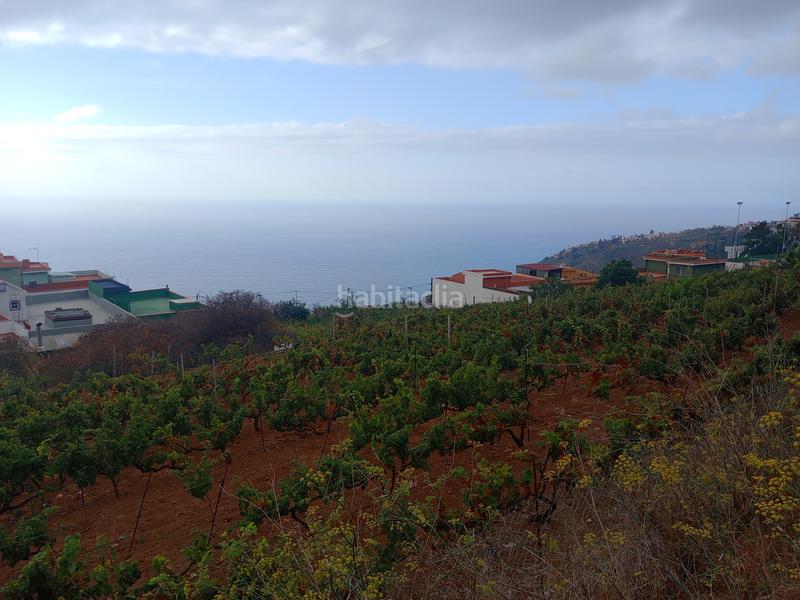 Foto 53de77f9-5328-45c6-ae9b-f67de20c85fa. Terreno residenziale in carretera rafael ramos 49 in Sauzal (El)