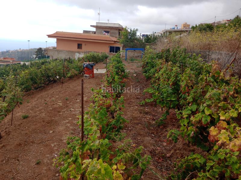 Foto 8f8b6e3e-a845-4155-859e-6738dbaab77a. Terreno residenziale in carretera rafael ramos 49 in Sauzal (El)