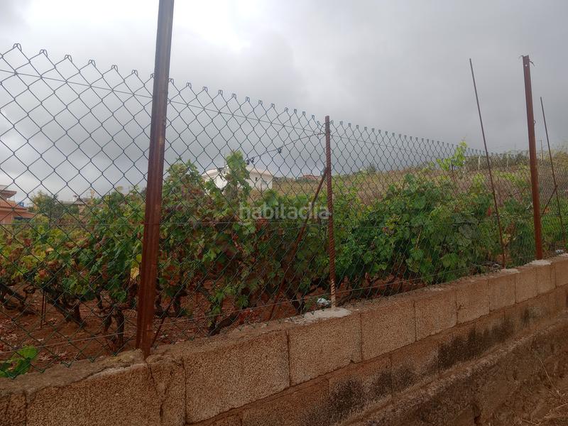 Foto 93673918-41b7-42af-9d32-6b01b98b9921. Terreno residenziale in carretera rafael ramos 49 in Sauzal (El)