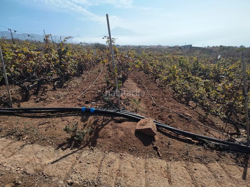 Foto 97e78818-0260-4775-b538-8fa942fccb04. Terreno residenziale in carretera rafael ramos 49 in Sauzal (El)