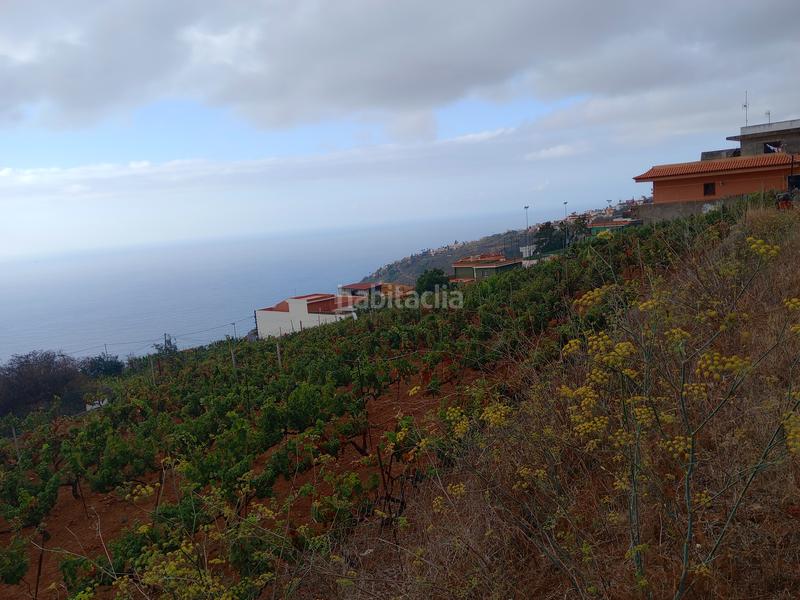 Foto a402721b-e17e-4a86-a242-084abbfd1b24. Terreno residenziale in carretera rafael ramos 49 in Sauzal (El)