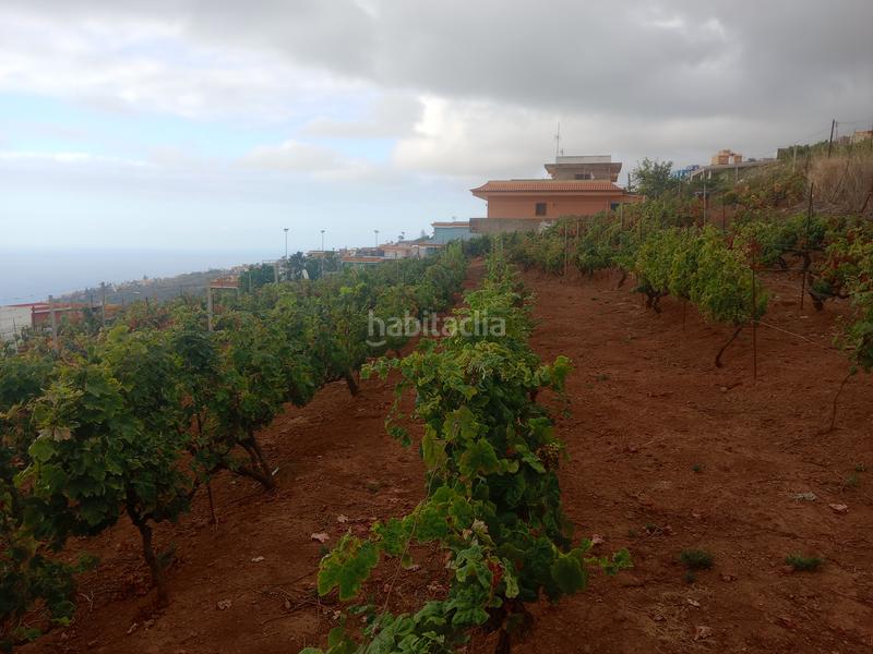 Foto a64b9b58-f9b6-476a-853b-dcdac5463ce4. Terreno residenziale in carretera rafael ramos 49 in Sauzal (El)