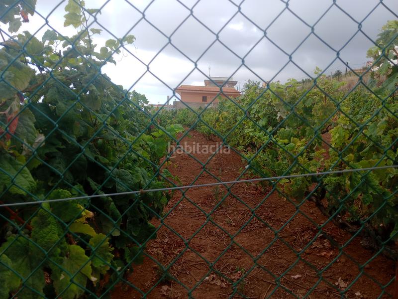 Foto a872902b-17b6-4936-aafa-823935827474. Terreno residenziale in carretera rafael ramos 49 in Sauzal (El)