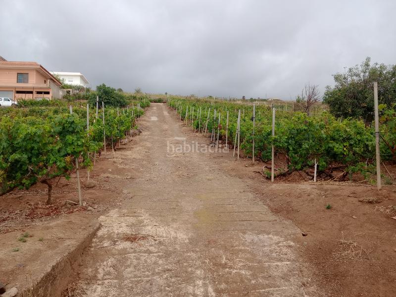 Foto dceba0fe-82ce-4de8-b7fb-b1e3c786231d. Terreno residenziale in carretera rafael ramos 49 in Sauzal (El)