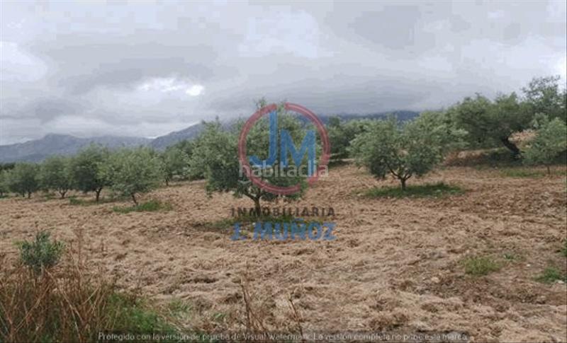 Foto 5fa560c9-f344-4241-b20f-448f0b3419c4. Finca rústica se venden parcelas rústicas con olivos en Antequera