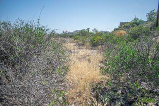 Finca rústica a La Camella. Terrenos en venta en arona
